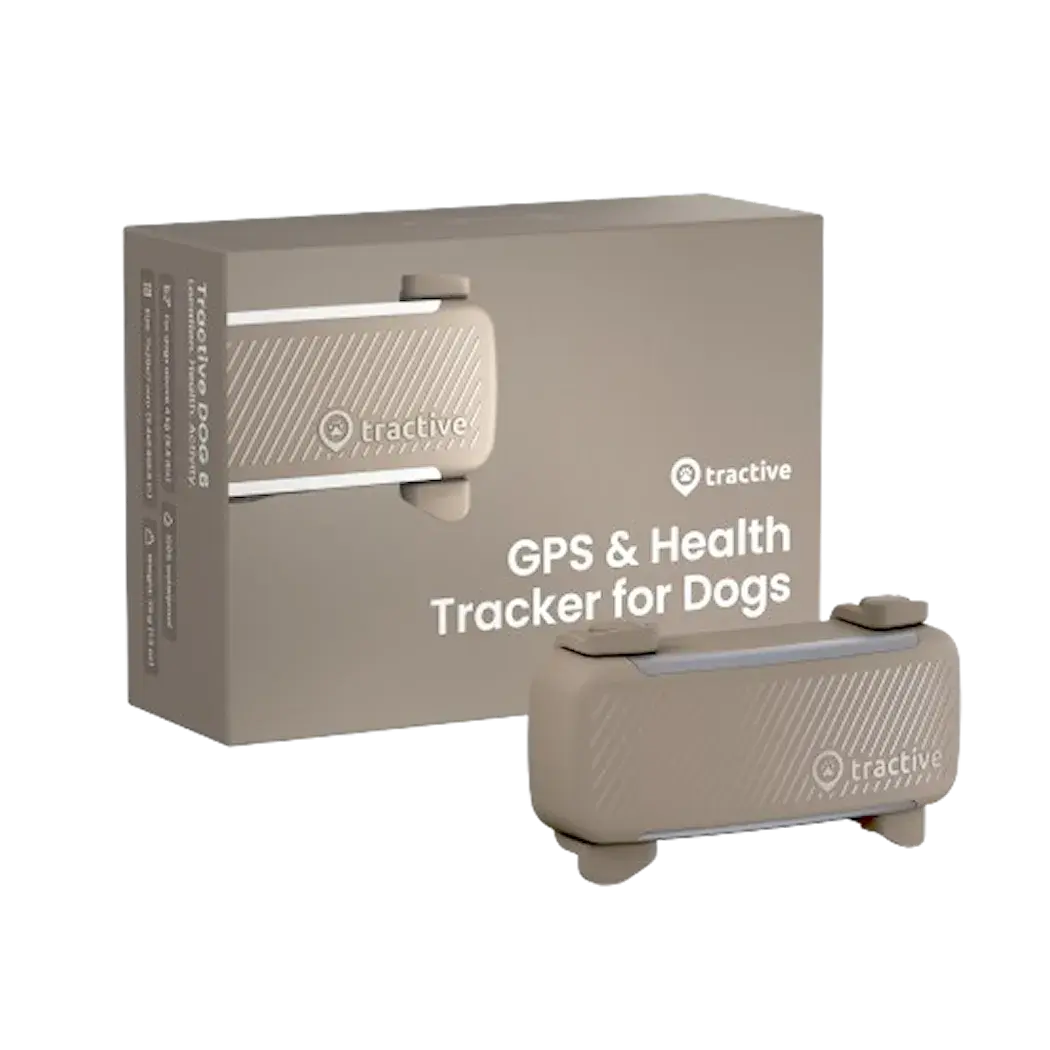 Brun Tractive Dog 6 GPS-tracker for hund