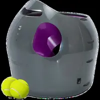 automatisk ballkaster hund