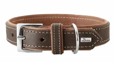 halsband hund