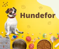 Hundefôrtest finn hundens favoritt!