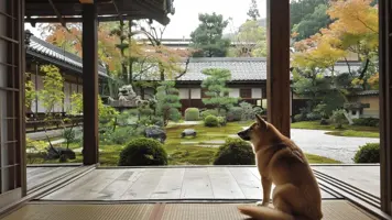 Japansk hund Fascinerende og trofaste folgesvenner 1