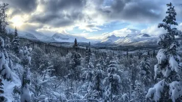Snok Norge Fascinerende Fakta og Viktige Rolle 1