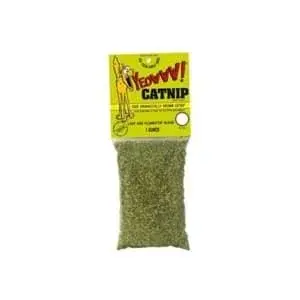 organic catnip 8d