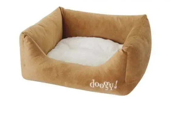 hundeseng teddy