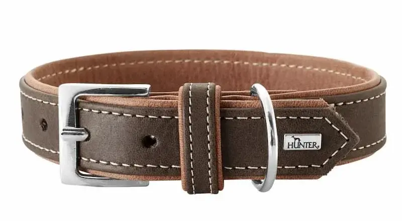 halsband hund