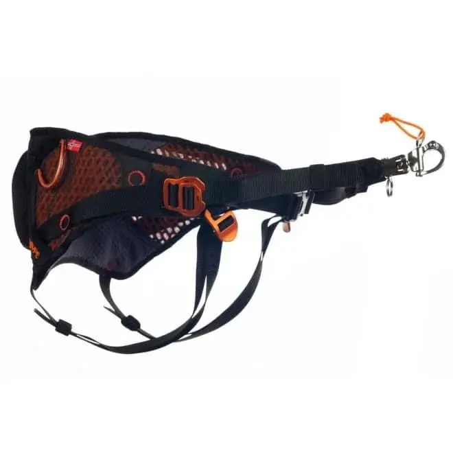 non stop magebelte hund